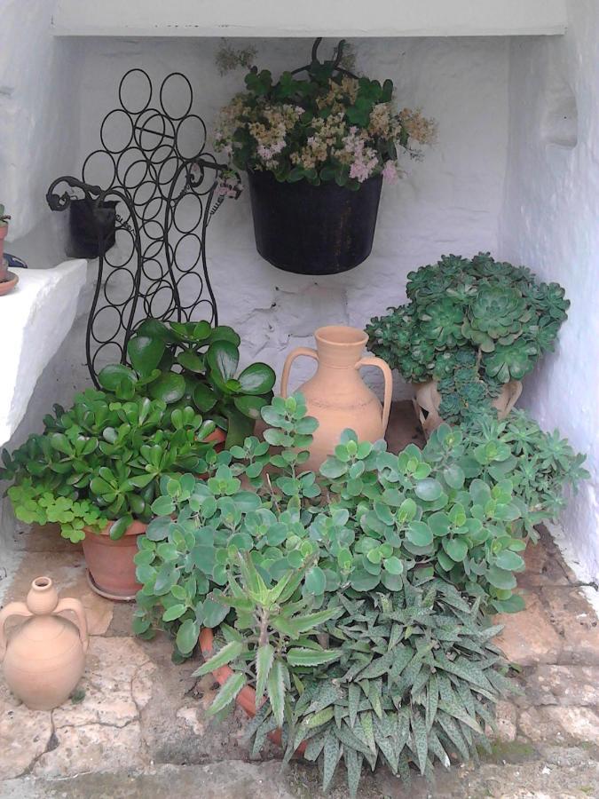 Bed and Breakfast Trulli La Casa Di Rosa Alberobello Zewnętrze zdjęcie