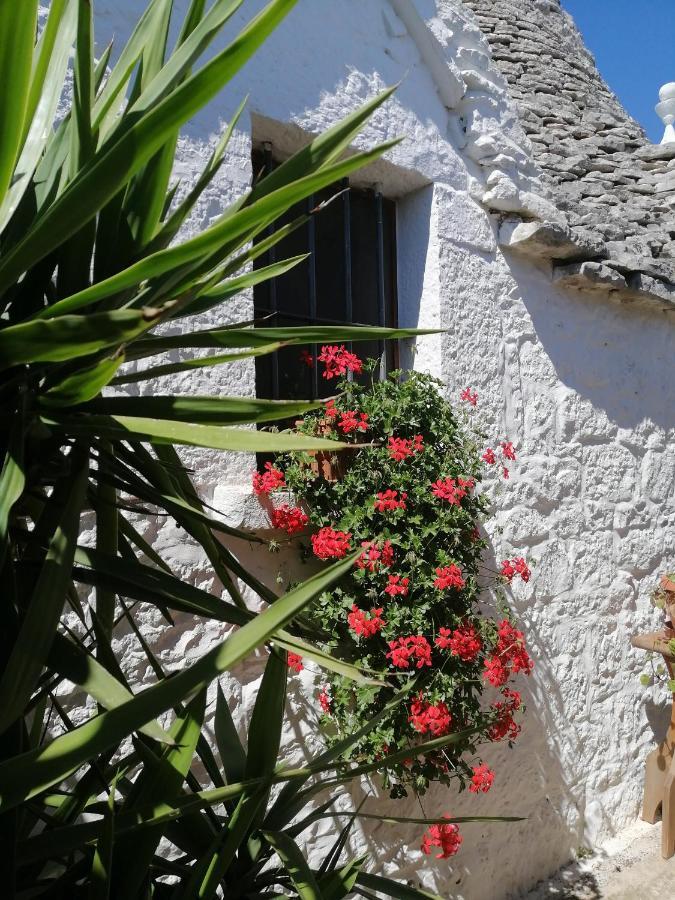 Bed and Breakfast Trulli La Casa Di Rosa Alberobello Zewnętrze zdjęcie