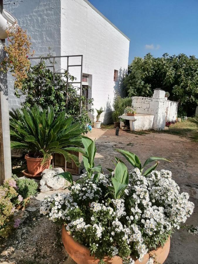 Bed and Breakfast Trulli La Casa Di Rosa Alberobello Zewnętrze zdjęcie